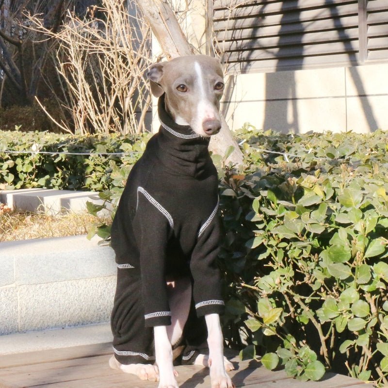 Soft Cotton Onesies 4 Legs Greyhound Whippet Dog Turtleneck Clothes Black - PIKAPIKA