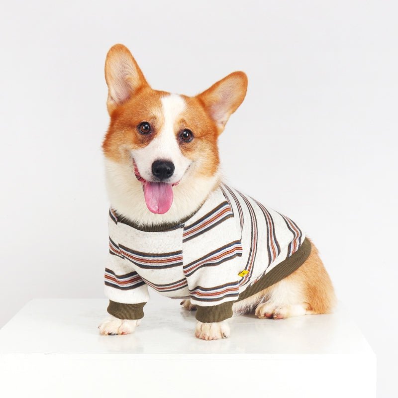 Soft Cotton Sweatshirts Corgi Dog Clothes Stripes - PIKAPIKA