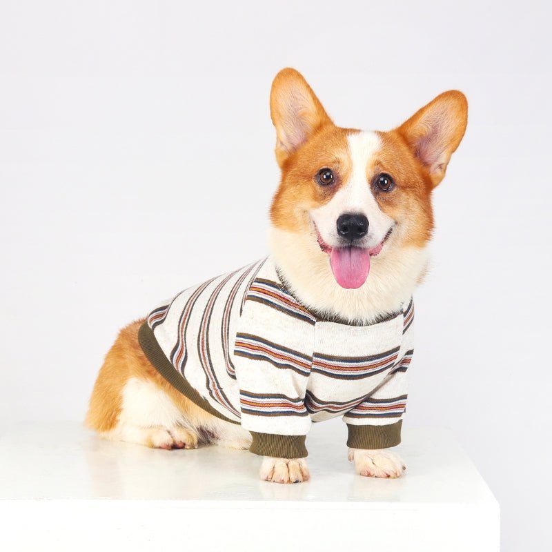 Soft Cotton Sweatshirts Corgi Dog Clothes Stripes - PIKAPIKA