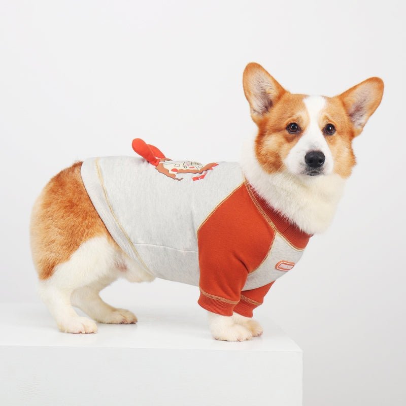 Soft Cotton Sweatshirts Corgi Medium Dog Clothes - PIKAPIKA