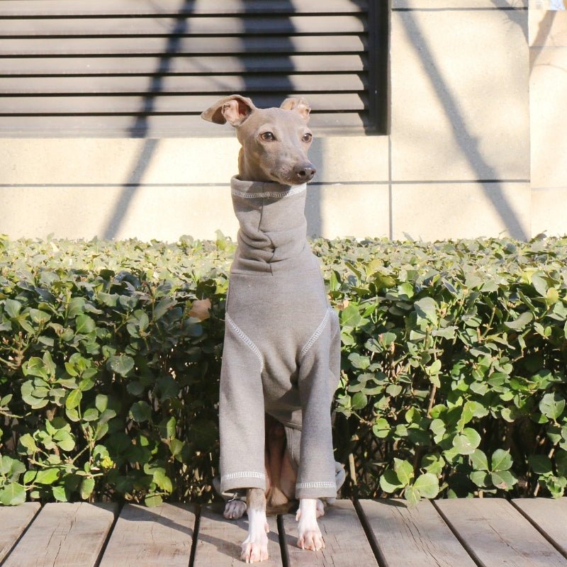 Soft Cotton Turtleneck Onesies 4 Legs Italian Greyhound Whippet Dog - PIKAPIKA