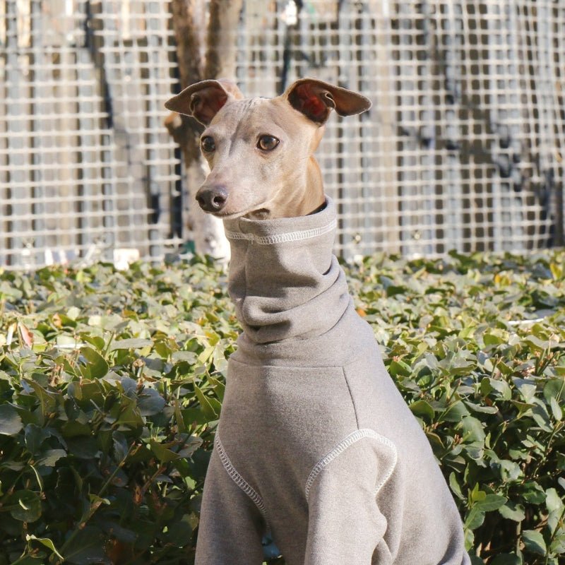 Soft Cotton Turtleneck Onesies 4 Legs Italian Greyhound Whippet Dog - PIKAPIKA