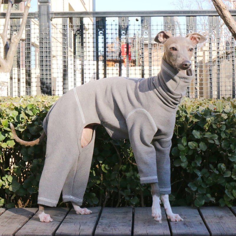 Soft Cotton Turtleneck Onesies 4 Legs Italian Greyhound Whippet Dog - PIKAPIKA