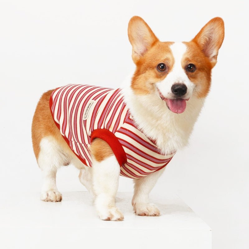 Soft Cotton Vest Corgi Stripes Dog Clothes Sleeveless - PIKAPIKA