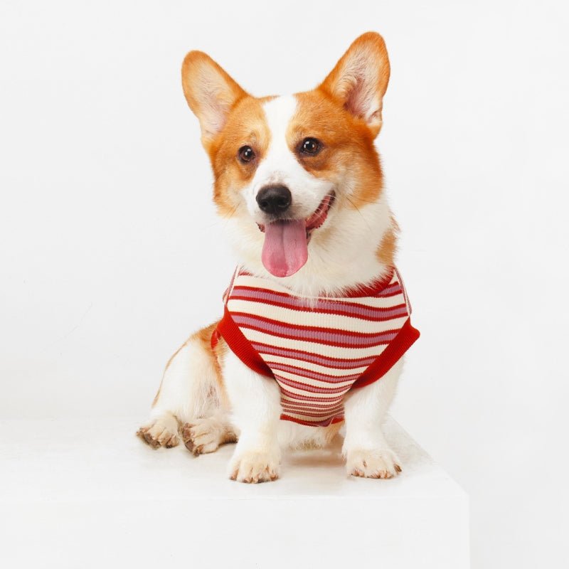 Soft Cotton Vest Corgi Stripes Dog Clothes Sleeveless - PIKAPIKA