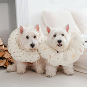 Soft Dog Recovery Collar Anti - lick Protective Surgery Protection - PIKAPIKA