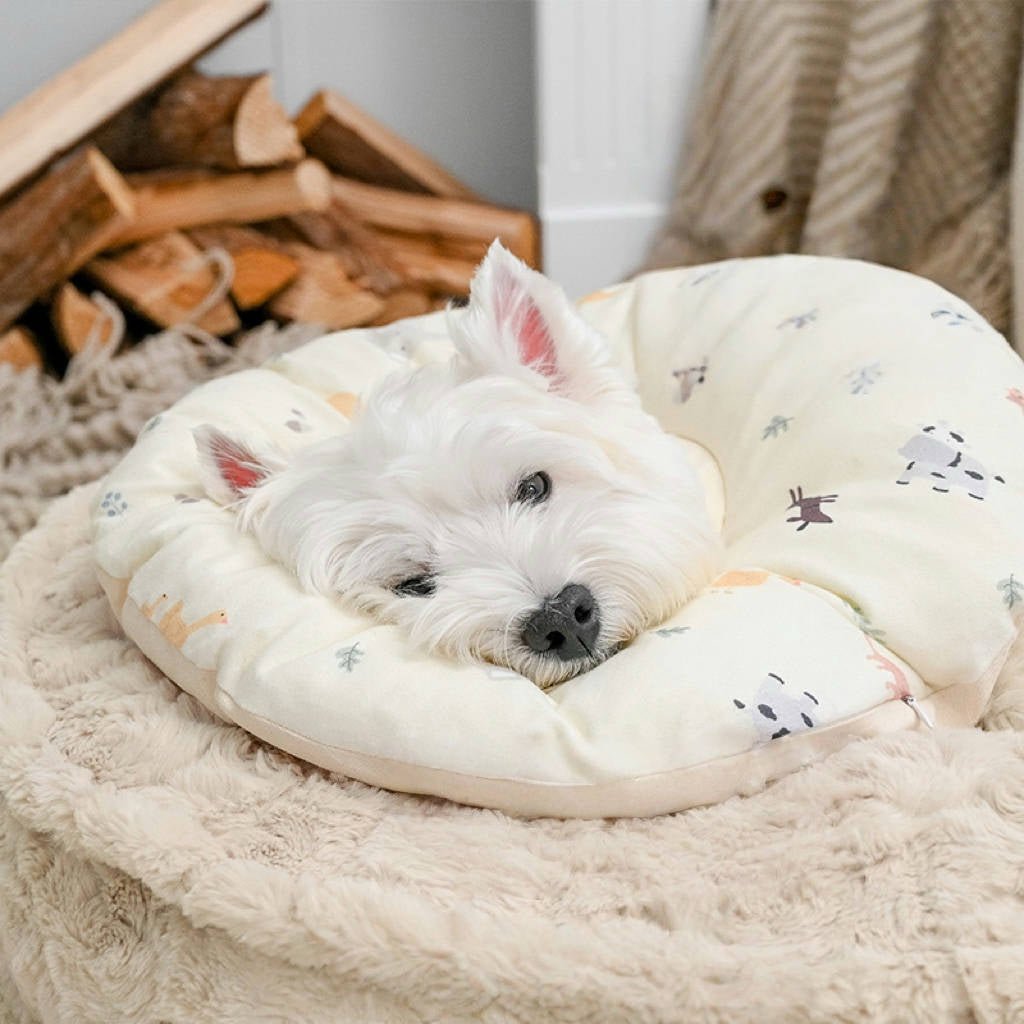 Soft Dog Recovery Collar Anti - lick Protective Surgery Protection - PIKAPIKA