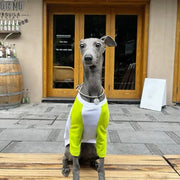 Soft Lightweight Colorblock Dog T-Shirt For Italian Greyhound - PIKAPIKA