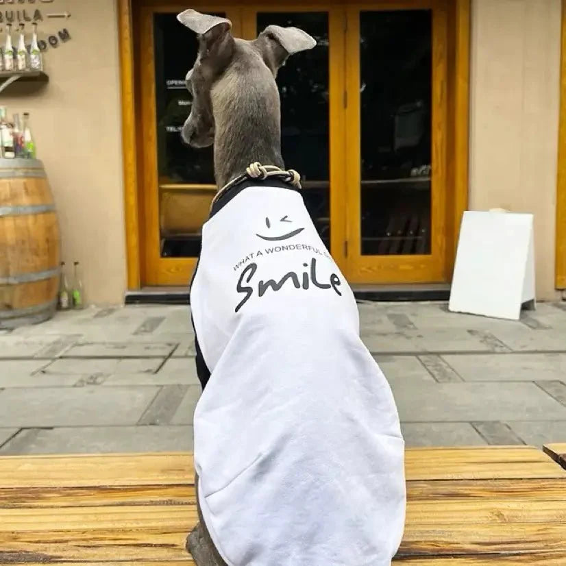 Soft Lightweight Colorblock Dog T-Shirt For Italian Greyhound - PIKAPIKA