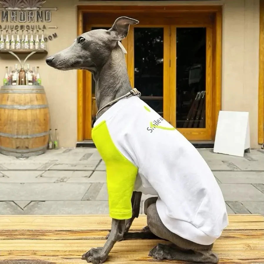 Soft Lightweight Colorblock Dog T-Shirt For Italian Greyhound - PIKAPIKA