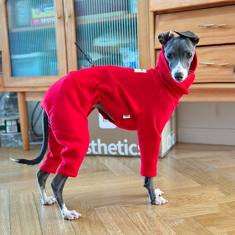 Soft Onesie for Italian greyhound Whippet Dog Clothes - PIKAPIKA