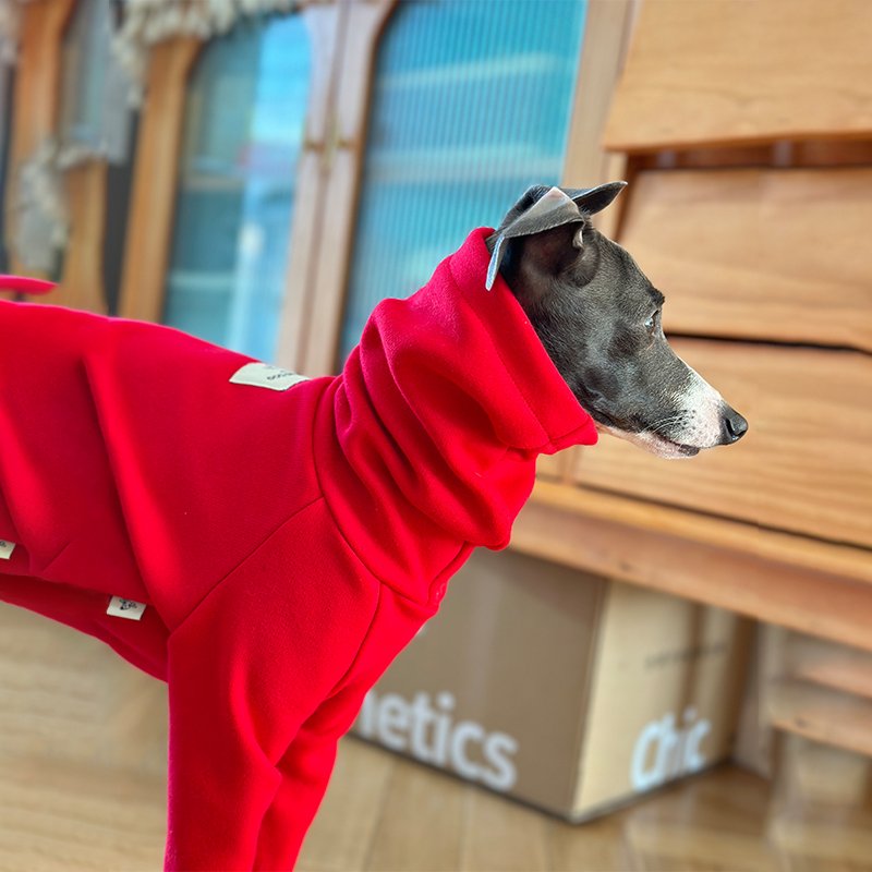 Soft Onesie for Italian greyhound Whippet Dog Clothes - PIKAPIKA