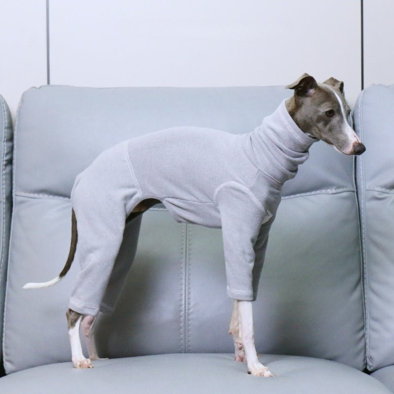 Soft Onesies 4 Legs Italian Greyhound Dog Turtleneck Clothes Gray - PIKAPIKA