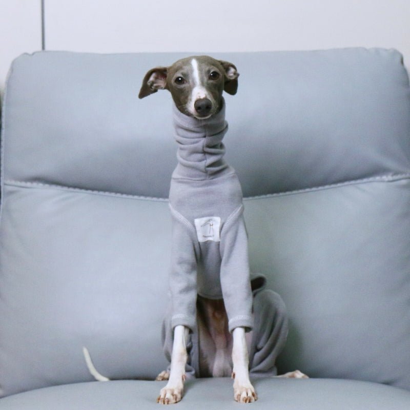 Soft Onesies 4 Legs Italian Greyhound Dog Turtleneck Clothes Gray - PIKAPIKA