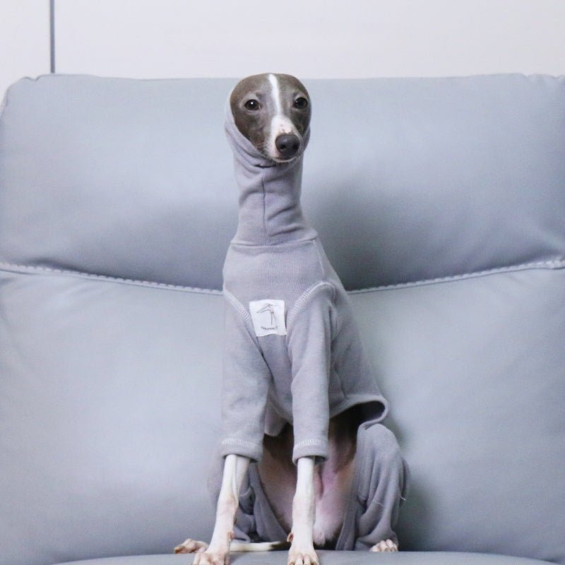 Soft Onesies 4 Legs Italian Greyhound Dog Turtleneck Clothes Gray - PIKAPIKA
