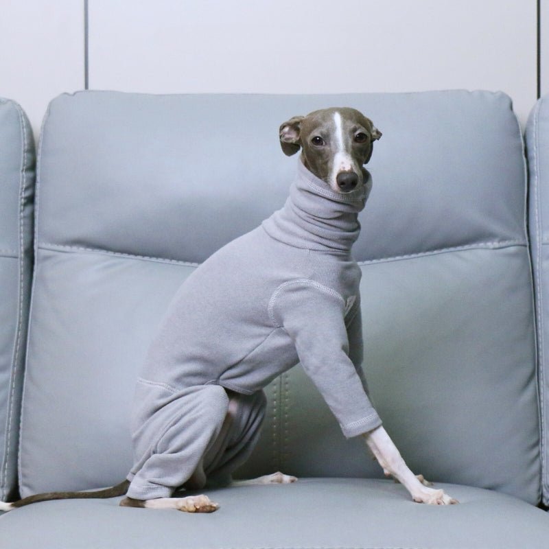 Soft Onesies 4 Legs Italian Greyhound Dog Turtleneck Clothes Gray - PIKAPIKA