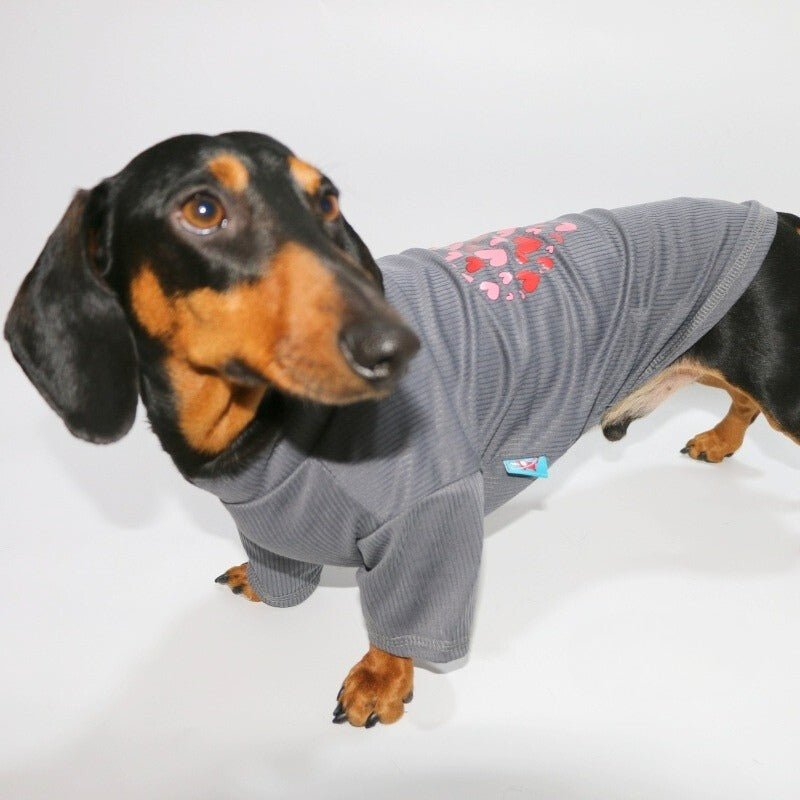 Soft Onesies Dachshund Dog Clothes - PIKAPIKA