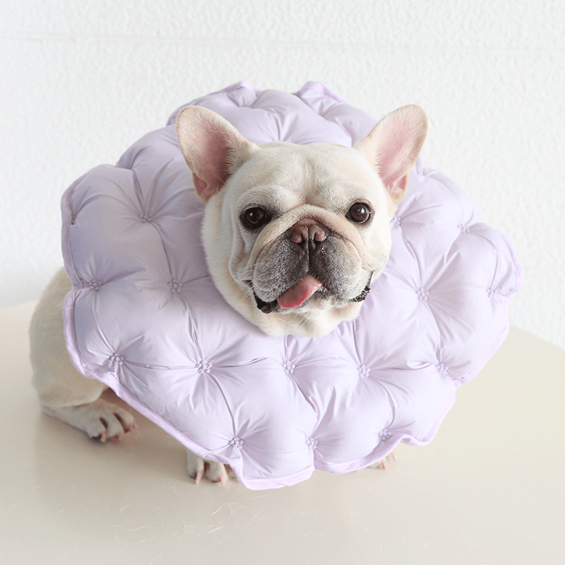 Soft Padded Cotton Elizabeth Collar Pet Recovery Cone - PIKAPIKA