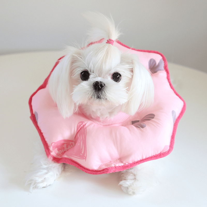 Soft Padded Cotton Elizabeth Collar Pet Recovery Cone - PIKAPIKA
