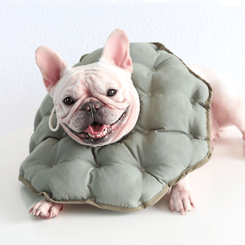 Soft Padded Cotton Elizabeth Collar Pet Recovery Cone - PIKAPIKA