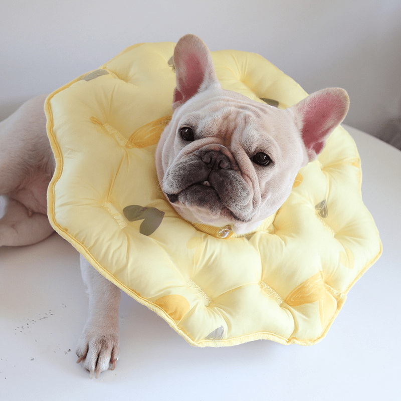 Soft Padded Cotton Elizabeth Collar Pet Recovery Cone - PIKAPIKA