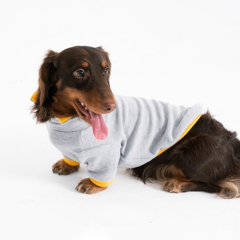 Soft Polo Shirts Warm Dachshund Clothes With Sleeves - PIKAPIKA