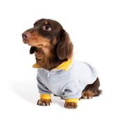 Soft Polo Shirts Warm Dachshund Clothes With Sleeves - PIKAPIKA
