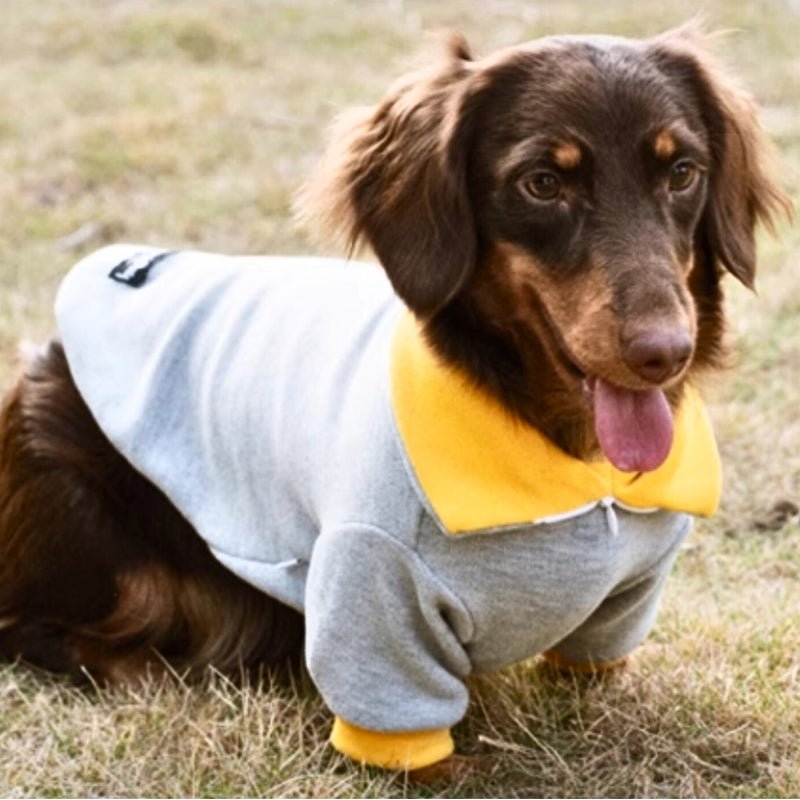 Soft Polo Shirts Warm Dachshund Clothes With Sleeves - PIKAPIKA
