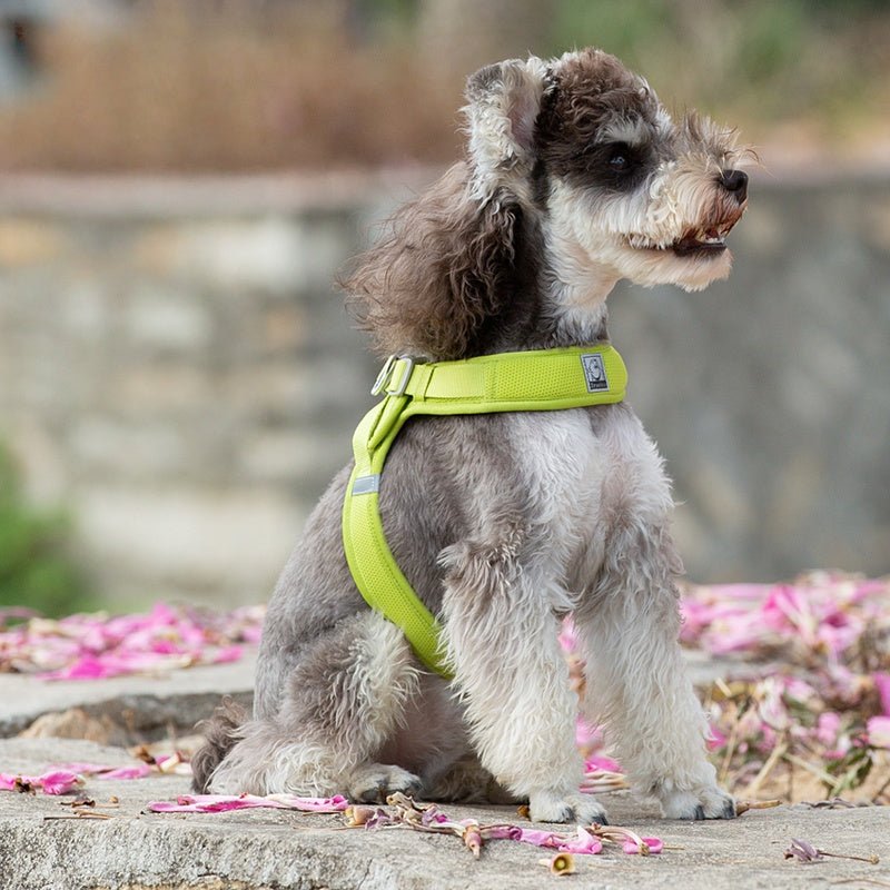 Soft Reflection Vest - Style Dog Harness Leash Set for Small Medium Dogs - PIKAPIKA