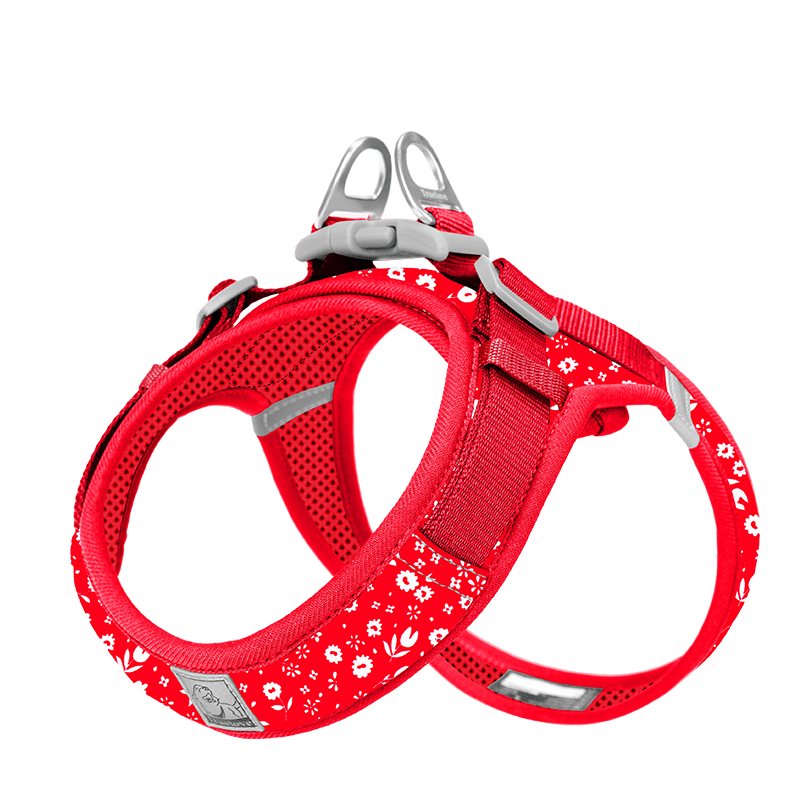 Soft Reflection Vest - Style Dog Harness Leash Set for Small Medium Dogs - PIKAPIKA