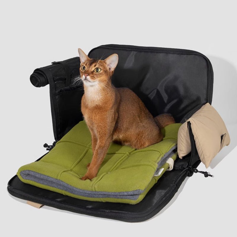 Soft - Sided Cat Carrier – Portable, Comfy & Ventilated - PIKAPIKA