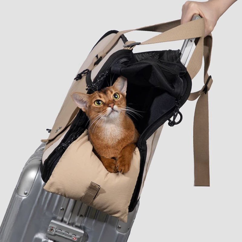 Soft - Sided Cat Carrier – Portable, Comfy & Ventilated - PIKAPIKA
