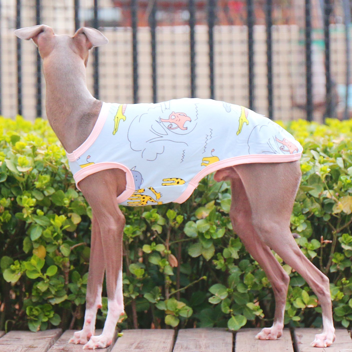 Soft Stretchy Floral Vest for Italian Greyhounds - PIKAPIKA