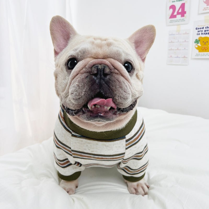 Soft Sweatshirt Light Fleece Dog Stripes Clothes Bulldog - PIKAPIKA