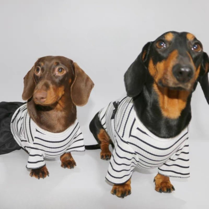 Soft Thin T-shirt Dress Dachshund Dog Stripes Clothes - PIKAPIKA