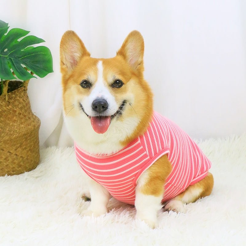 Soft Thin Vest T-shirts Corgi Stripes Clothes Sleeveless - PIKAPIKA