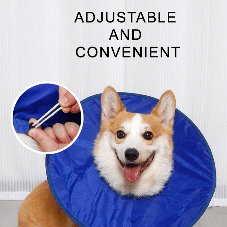 Soft Waterproof Dog Recovery Collar - PIKAPIKA