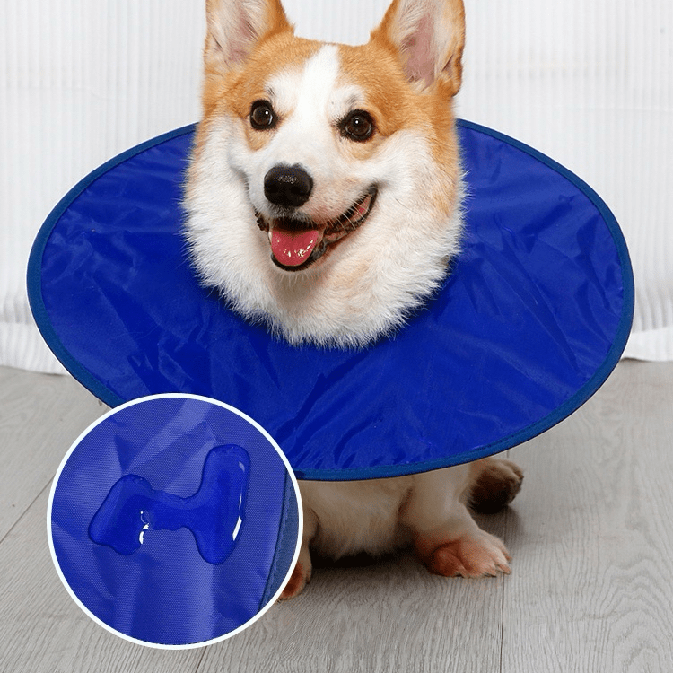 Soft Waterproof Dog Recovery Collar - PIKAPIKA