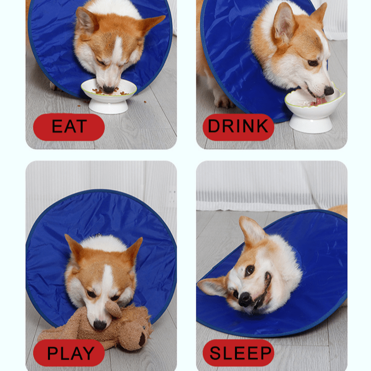 Soft Waterproof Dog Recovery Collar - PIKAPIKA