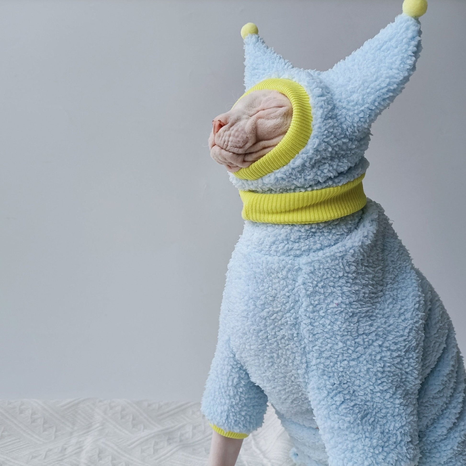 Sphynx Cat Colorful Pom Beanie Knitted Hat Little devil Hat Hand Made - PIKAPIKA