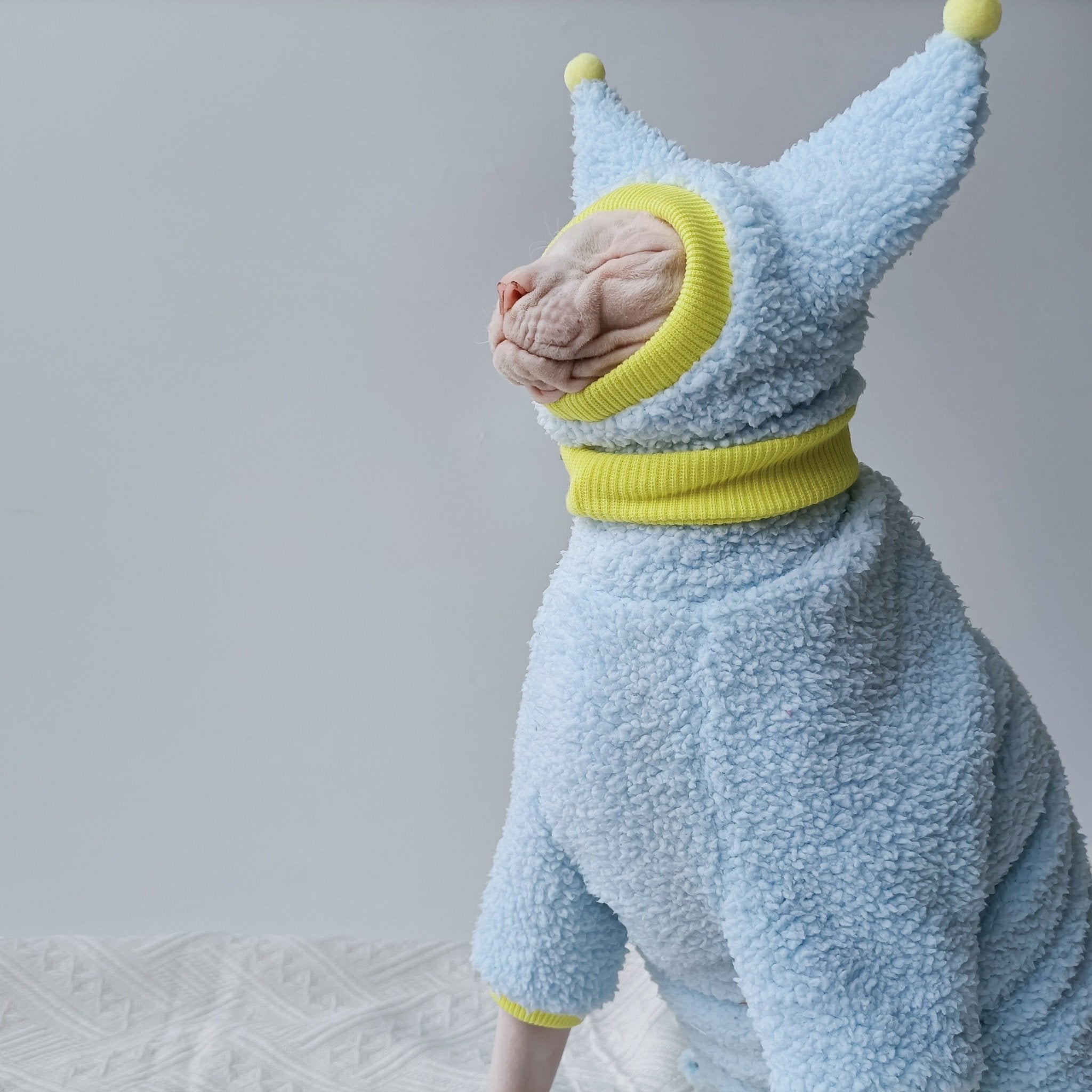 Sphynx Cat Colorful Pom Beanie Knitted Hat Little devil Hat Hand Made - PIKAPIKA