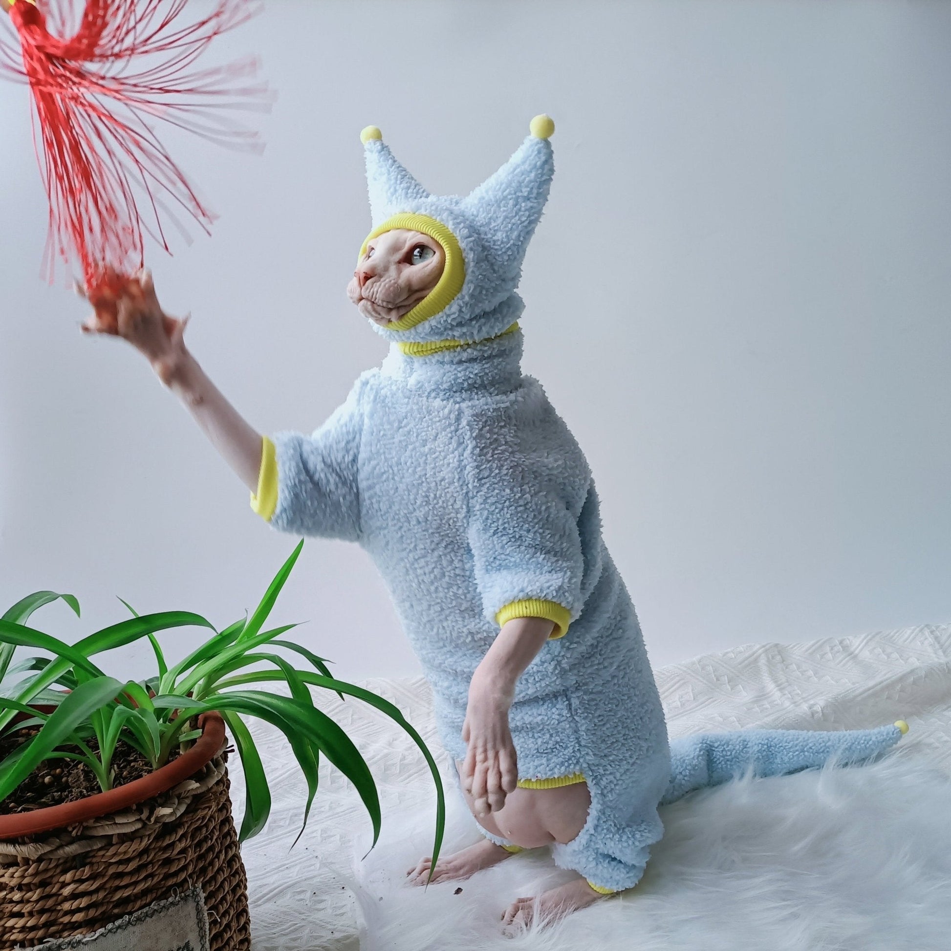 Sphynx Cat Colorful Pom Beanie Knitted Hat Little devil Hat Hand Made - PIKAPIKA