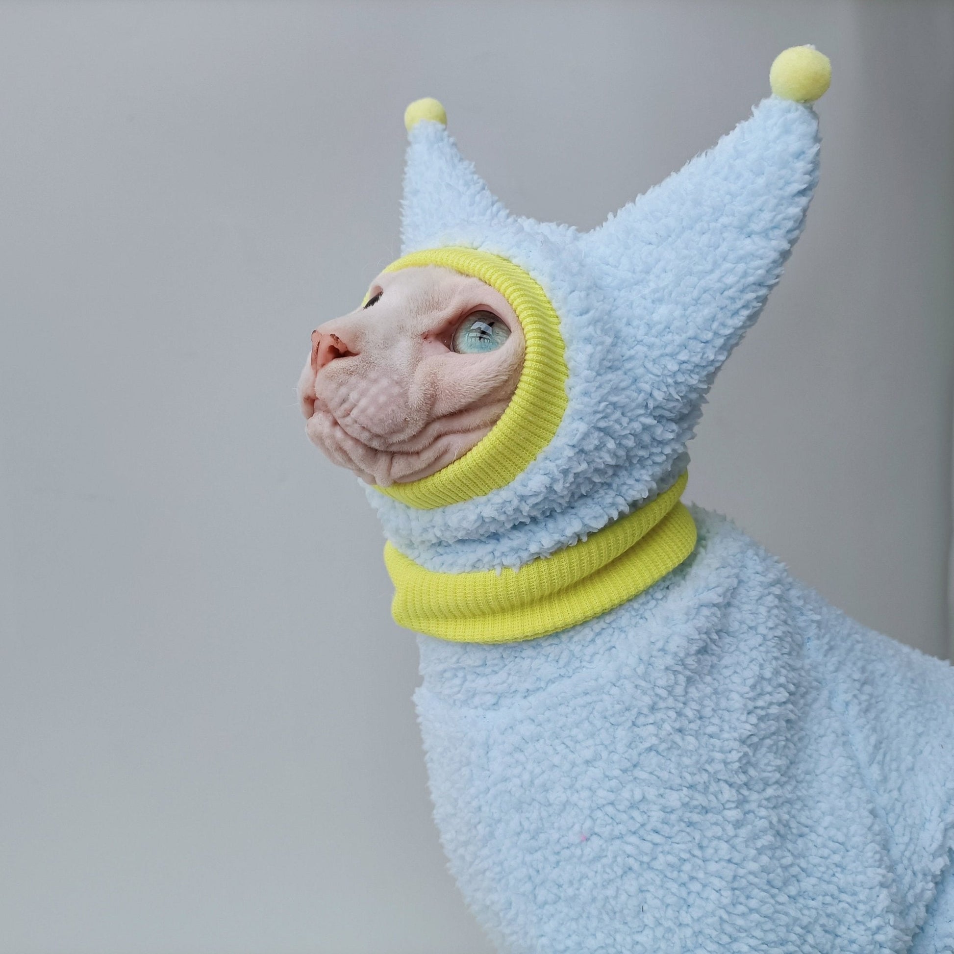 Sphynx Cat Colorful Pom Beanie Knitted Hat Little devil Hat Hand Made - PIKAPIKA