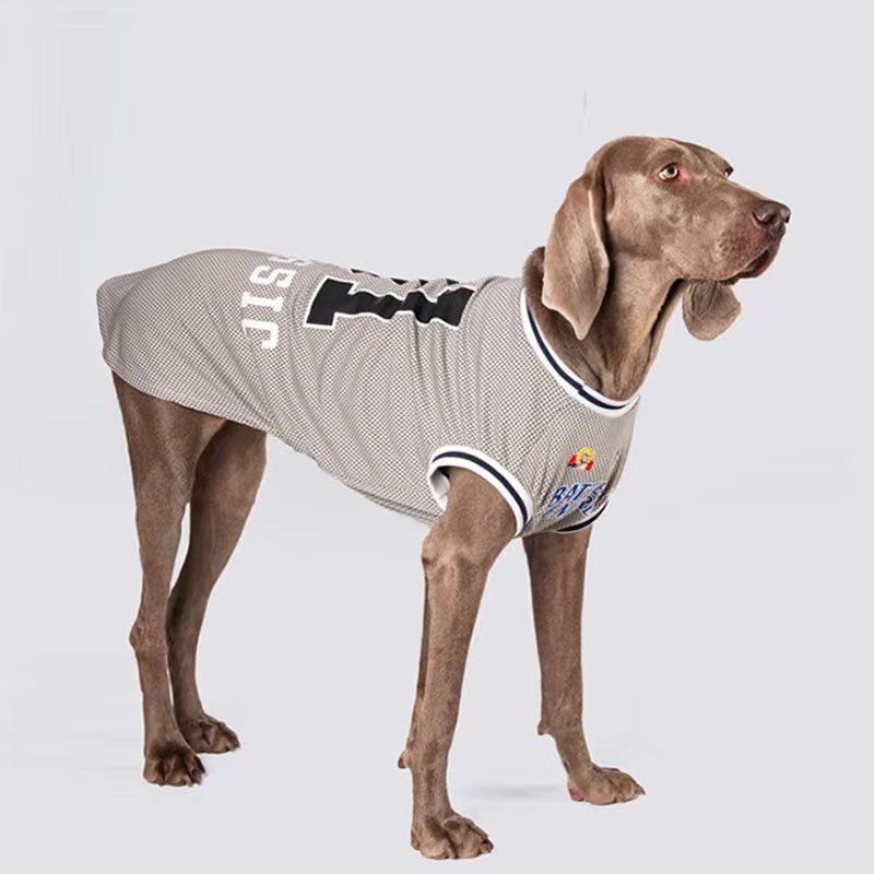 Sport Mesh Tank Top T Shirt Big Dog Clothing - PIKAPIKA