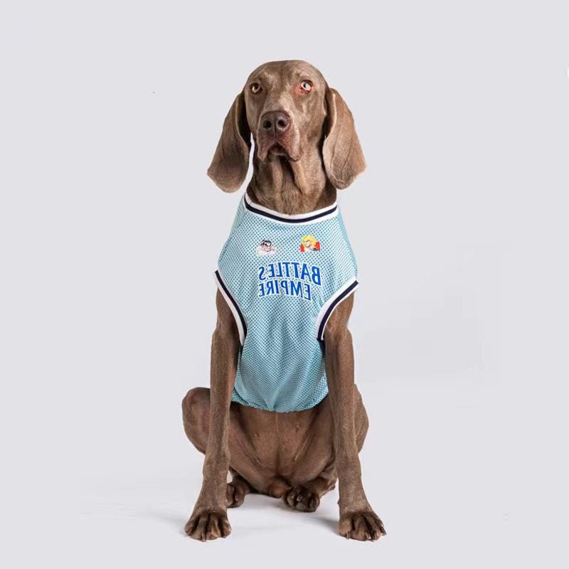 Sport Mesh Tank Top T Shirt Big Dog Clothing - PIKAPIKA