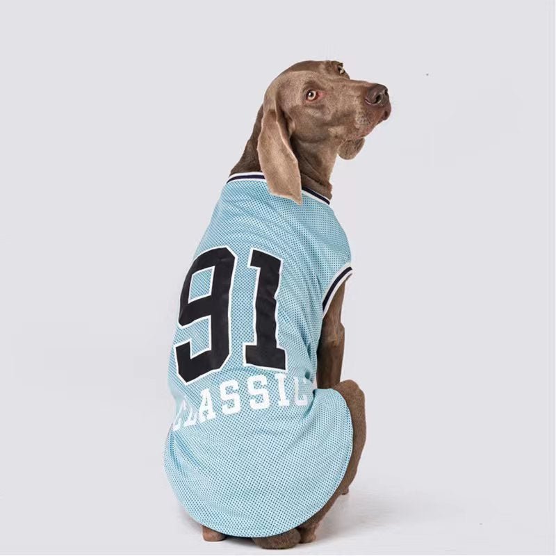 Sport Mesh Tank Top T Shirt Big Dog Clothing - PIKAPIKA