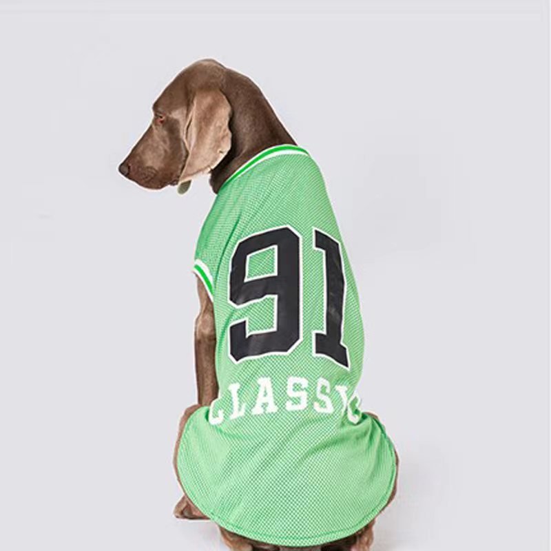 Sport Mesh Tank Top T Shirt Big Dog Clothing - PIKAPIKA