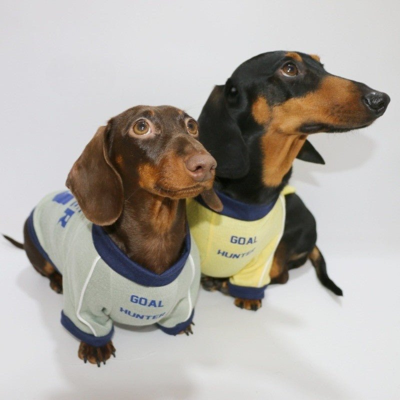 Sports Thin T-shirt Dachshund Dog Clothes - PIKAPIKA