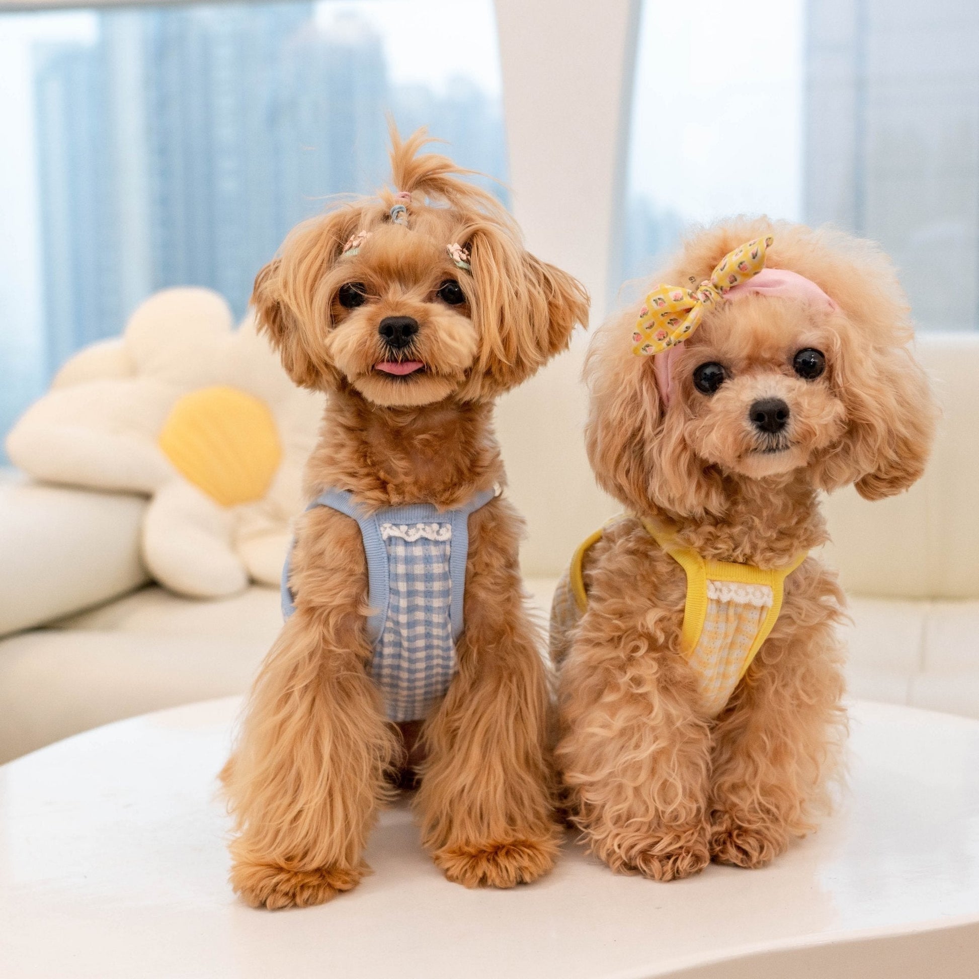 Stretchy Cotton Belly Support Vest for Toy Dogs - PIKAPIKA