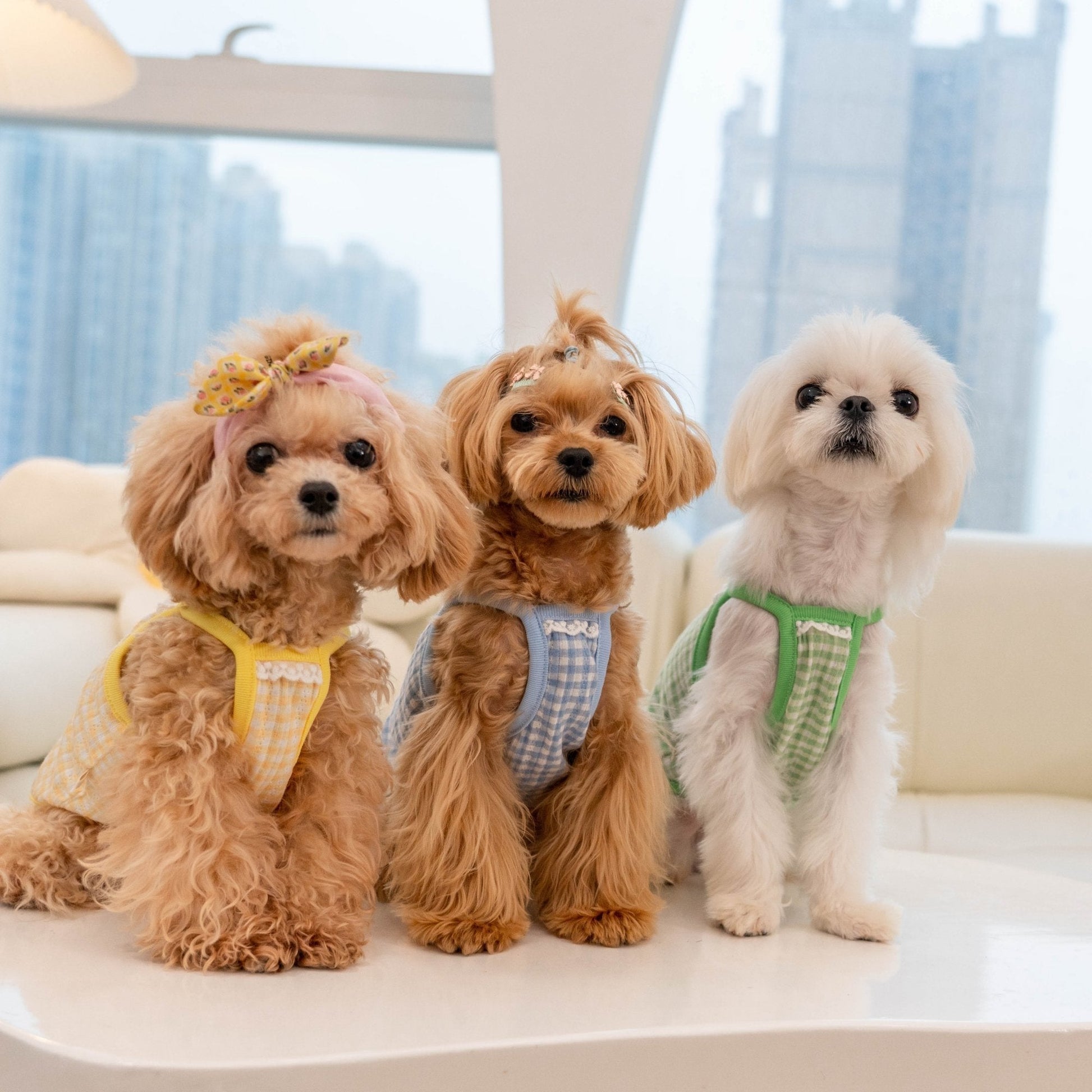 Stretchy Cotton Belly Support Vest for Toy Dogs - PIKAPIKA